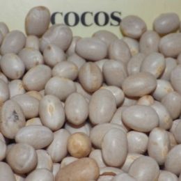 haricots secs coco 250g