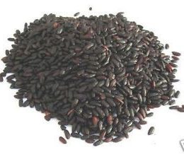 riz noir vénéré